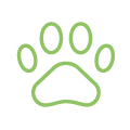 hunde